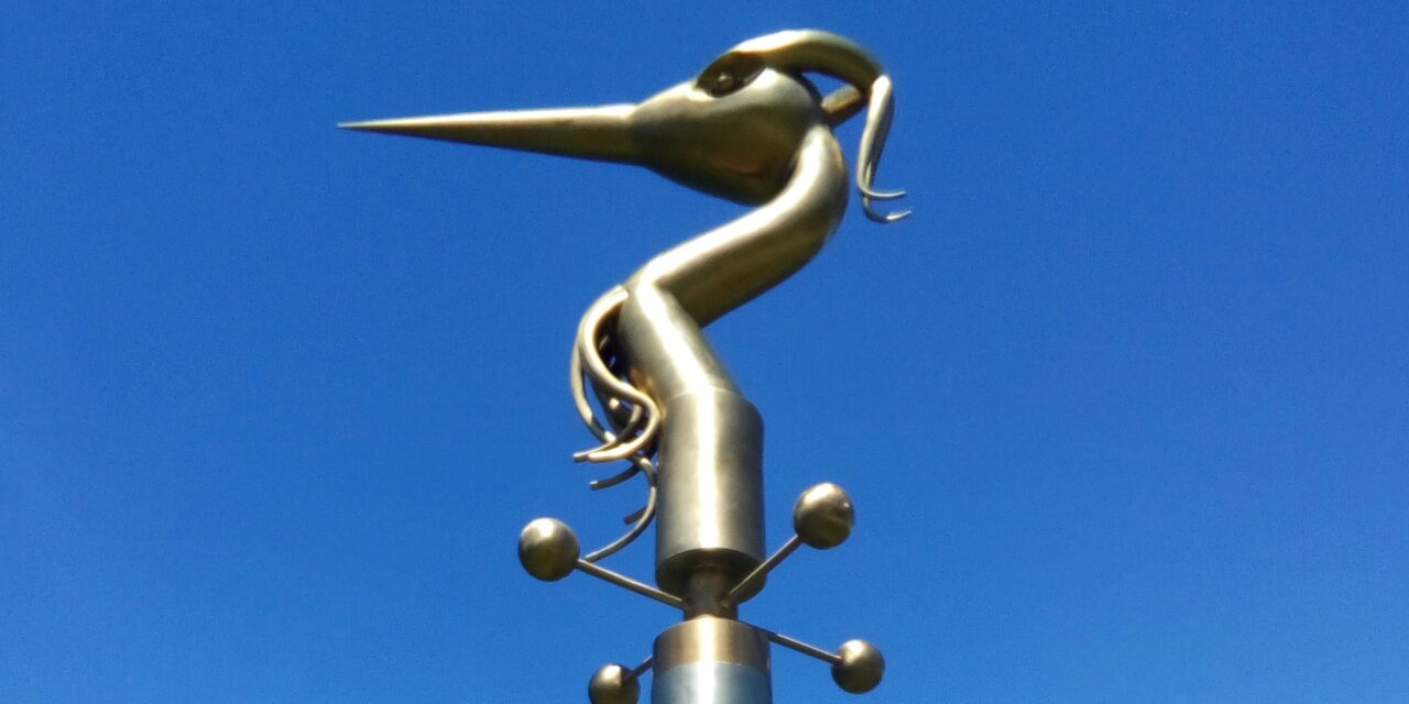 Why Are There So Many Dicks in This Town?