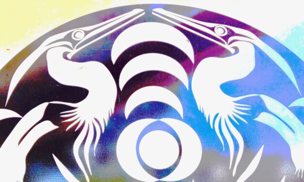 Unlike Nelsonia, the Land of Ross Cares About Our Indigenous